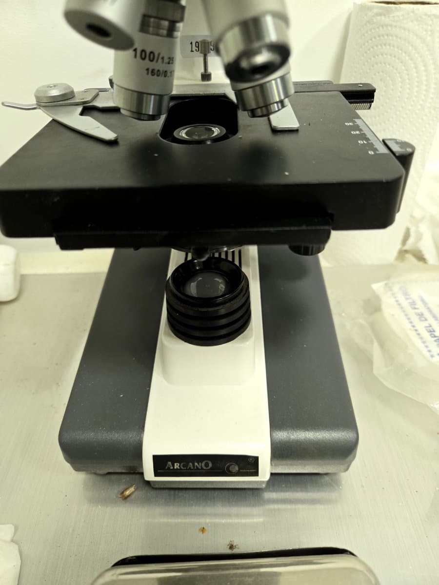 microscopio arcano xsz100bn sin uso