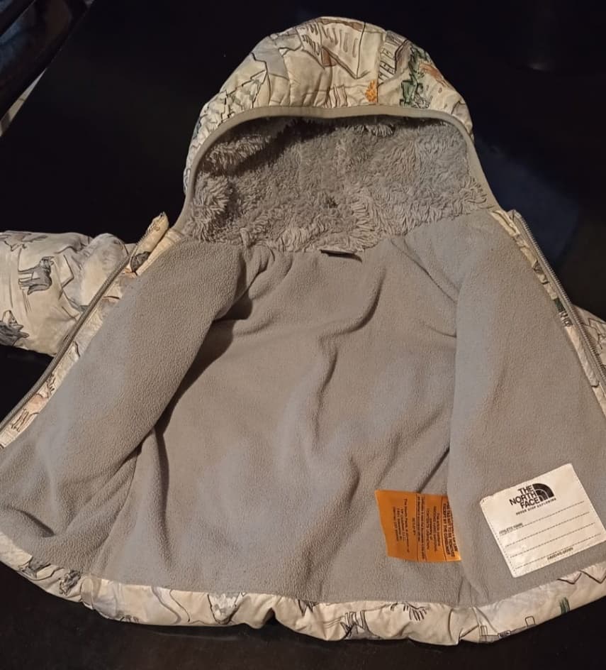 Campera The North Face 