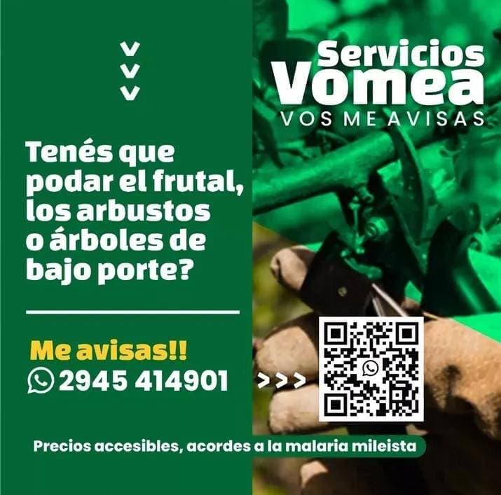 Servicios de poda profesional