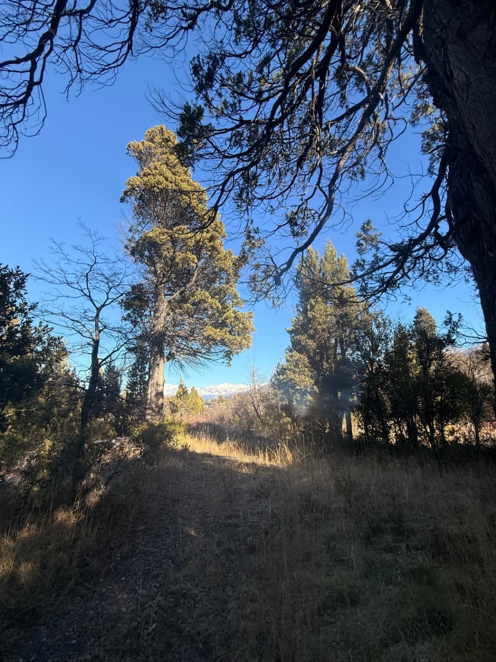 Lote de 1ha en Trevelin 