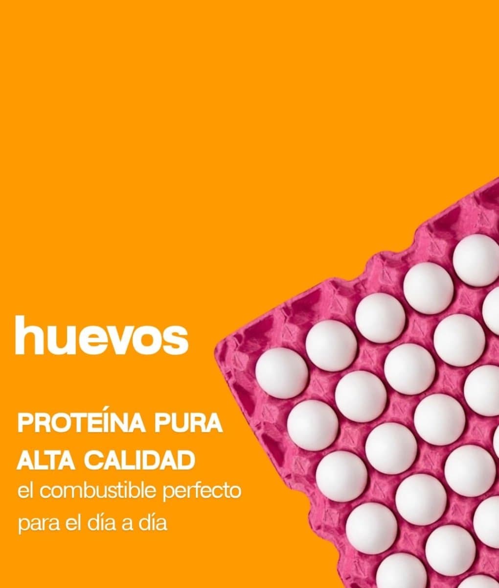 Dos maples huevos grandes oferta