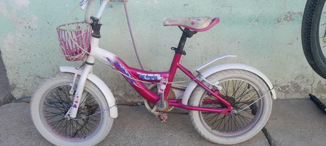 Bicicleta nena rosa con canasto