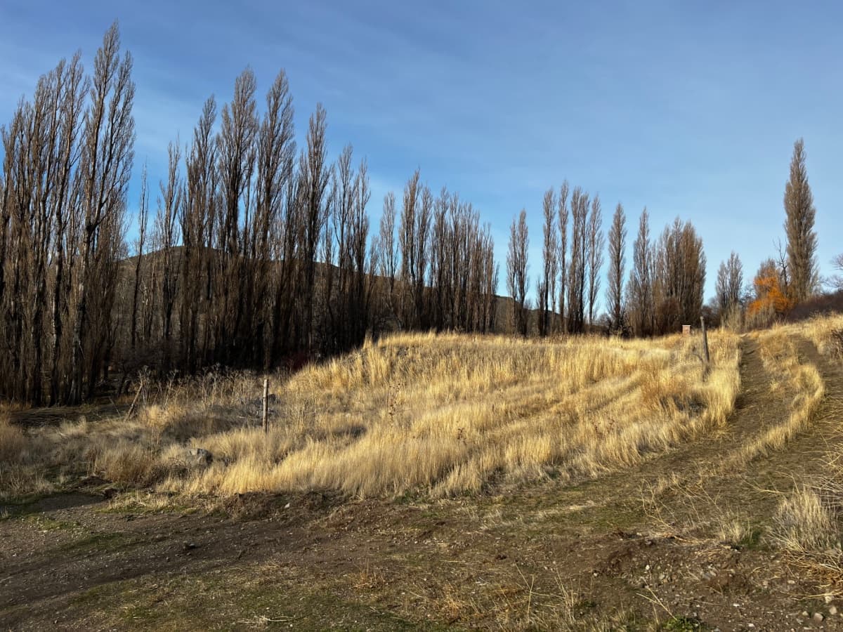Terreno 20x70 1400 mts2. Frente a dos calles. Barrio Cerro Colorado 