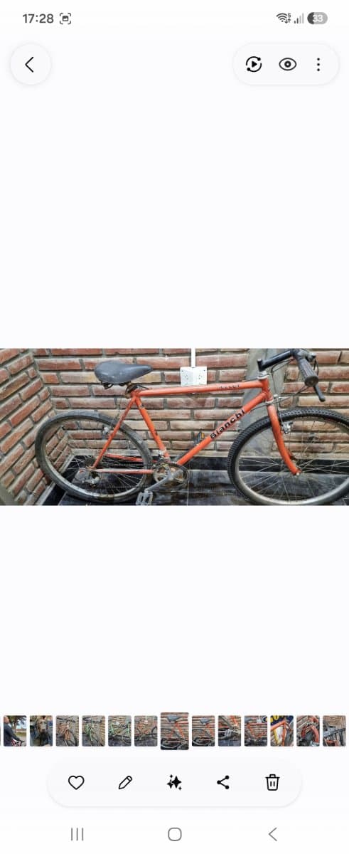 Bicicletas bianchi originales hechas a cero, service al día.