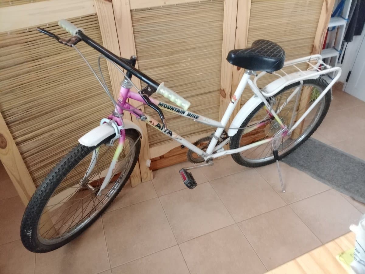 Bicicleta Mountain Bike Aita Rod.26- 10 v.