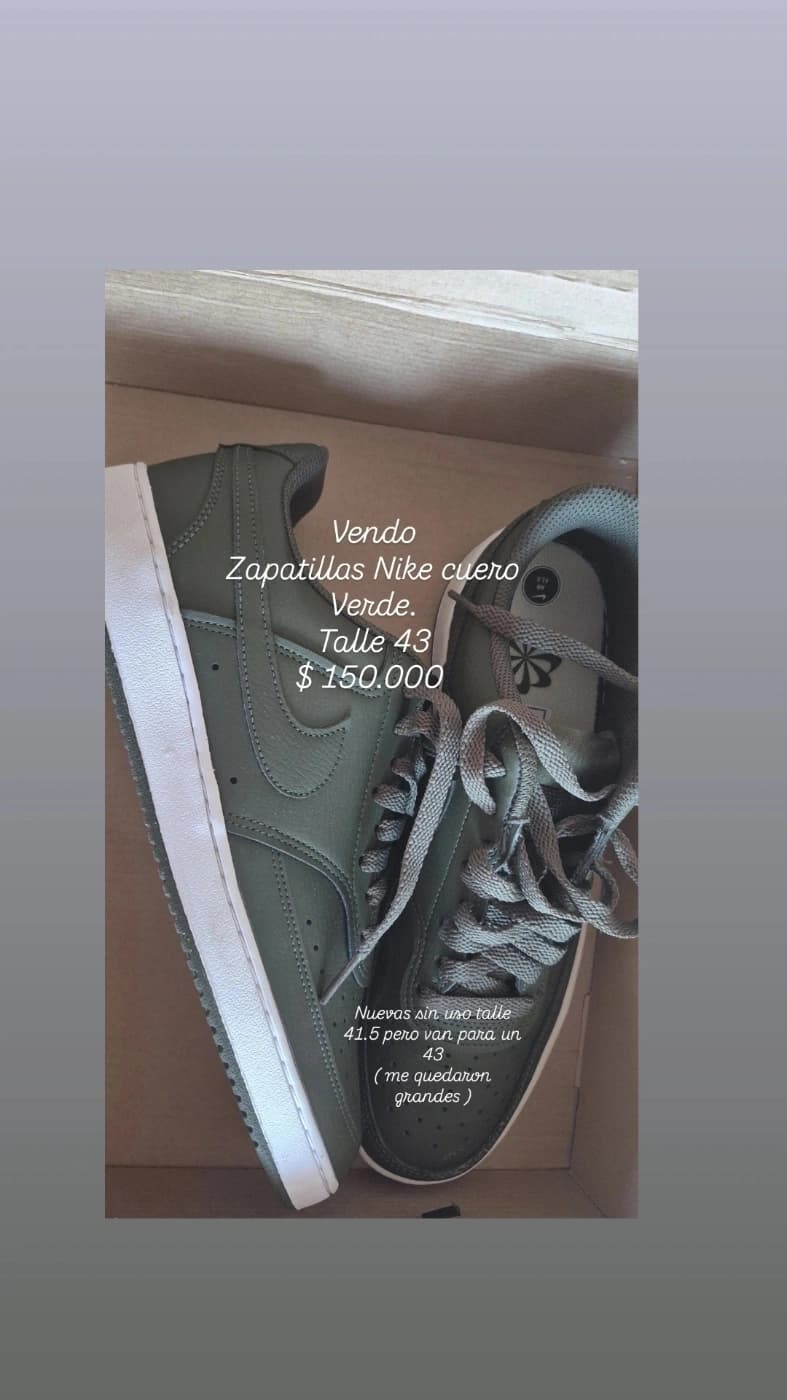 Zapatillas Nike cuero verde talle 43