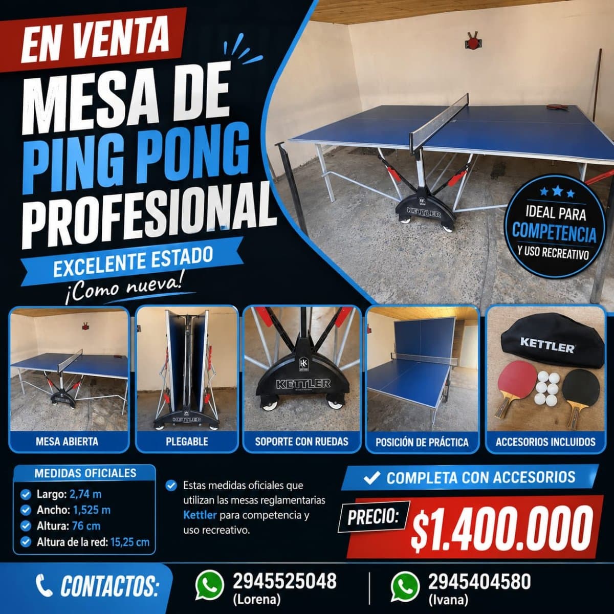 Mesa ping pong profesional Kettler excelente estado