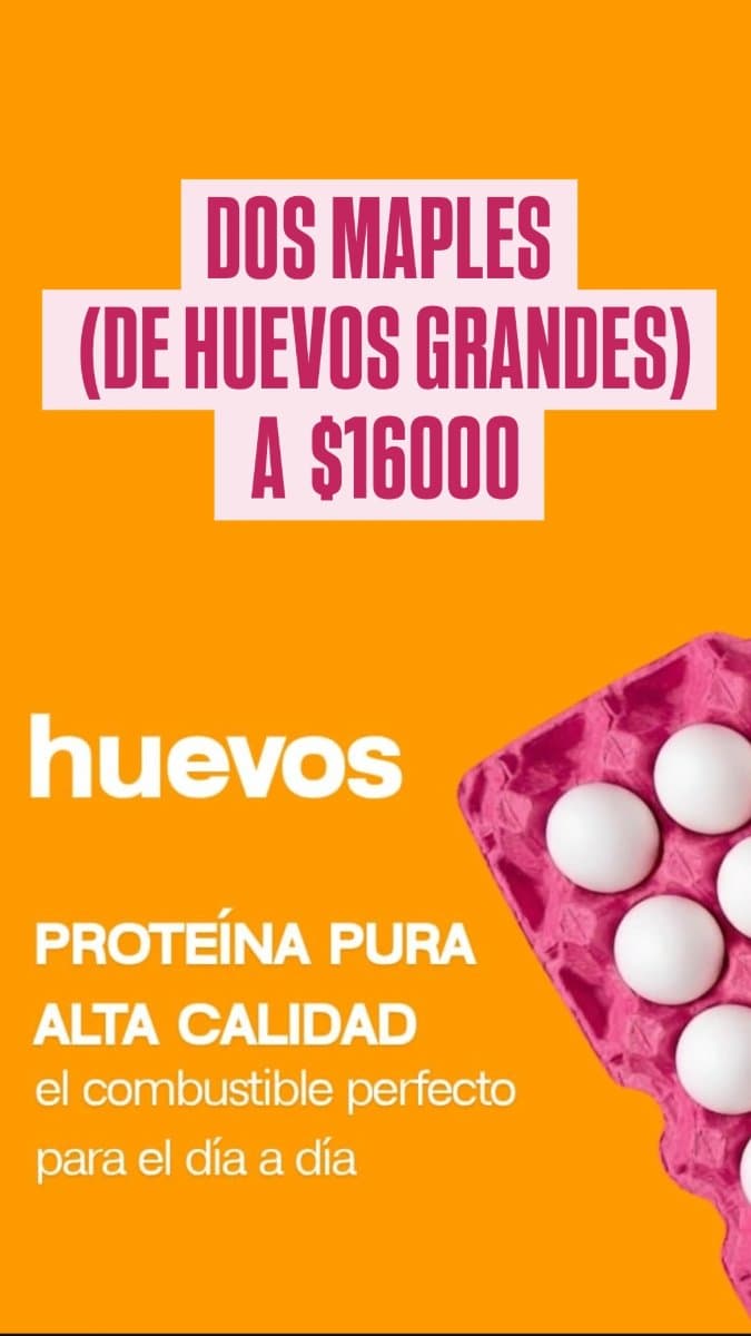 Dos maples huevos grandes oferta