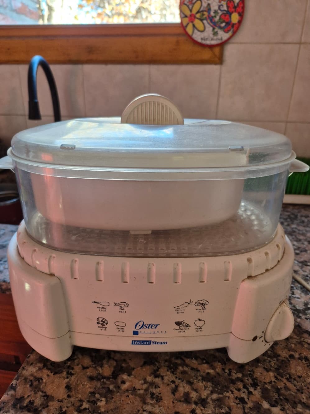Vaporera Oster Instant Steam usada