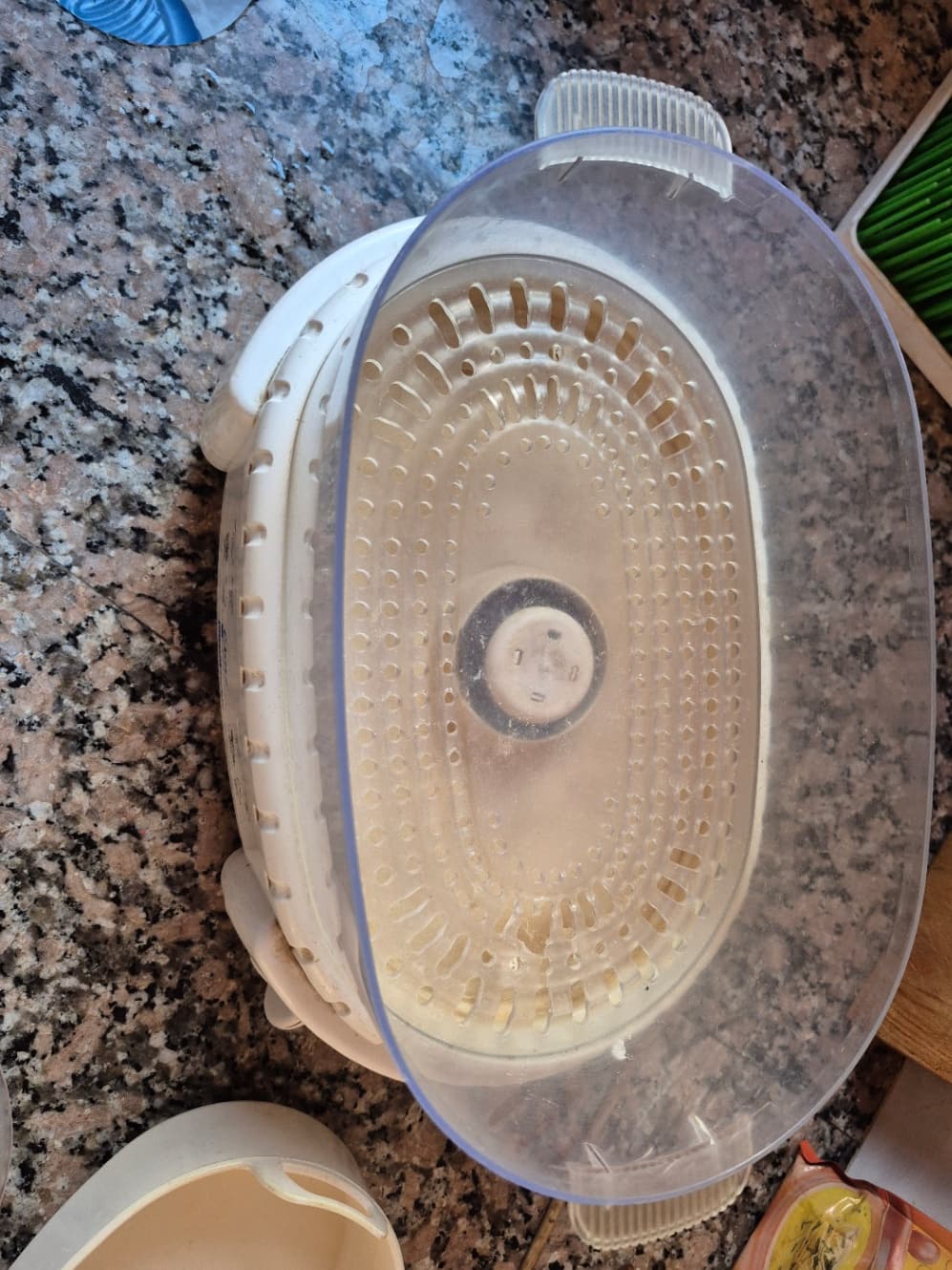 Vaporera Oster Instant Steam usada